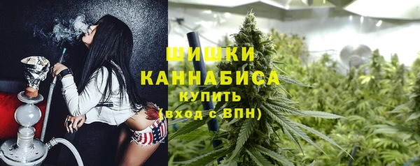 дурь Мегион
