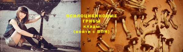 мдпв Беломорск